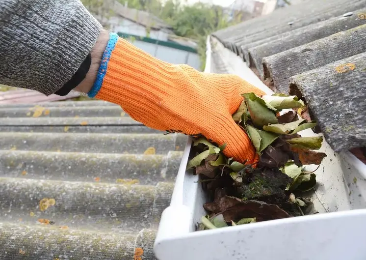 Gutter cleaning Auckland