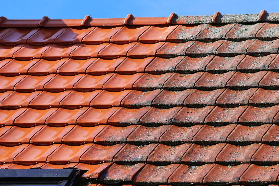 Roof Cleaning Banner